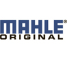 MAHLE MAHLE
